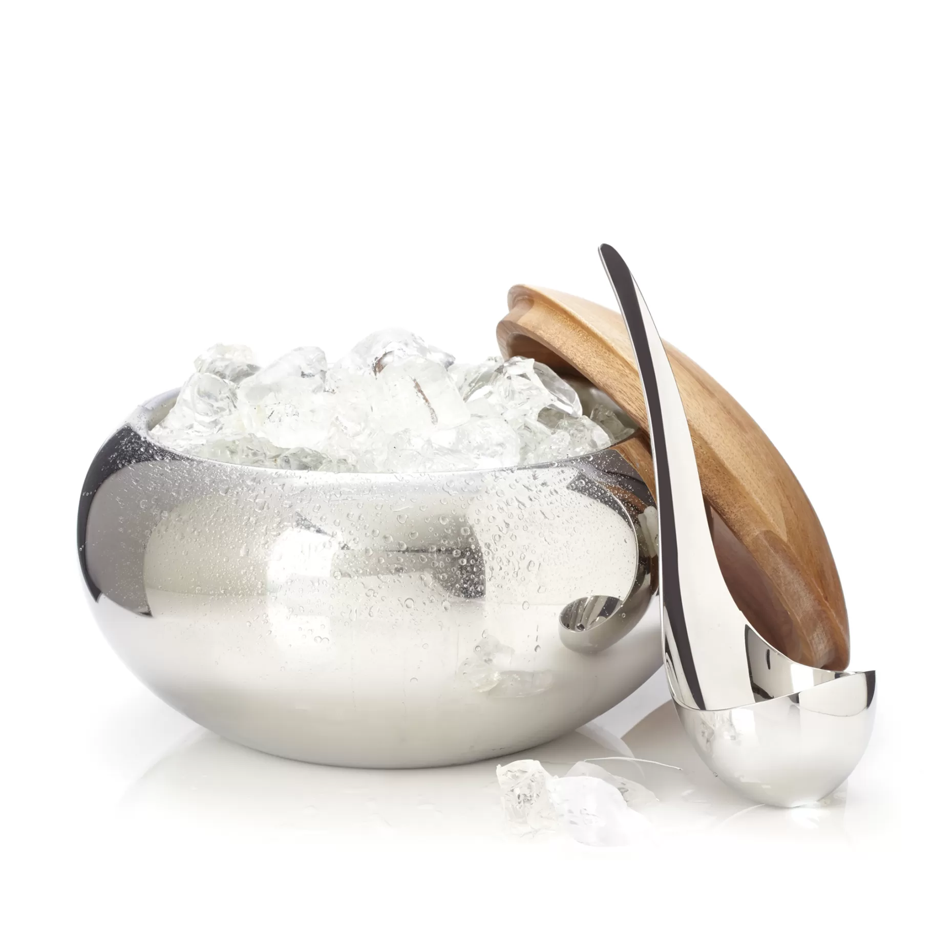 Shop Scoop Ice Bucket Ice Buckets